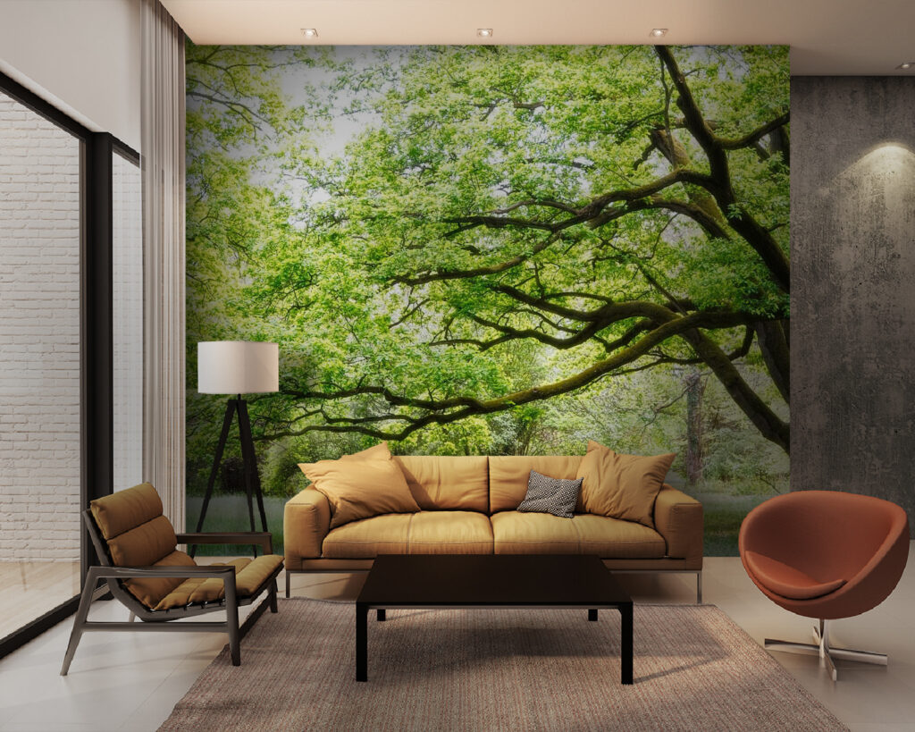 Old tree, green crown — interior 1