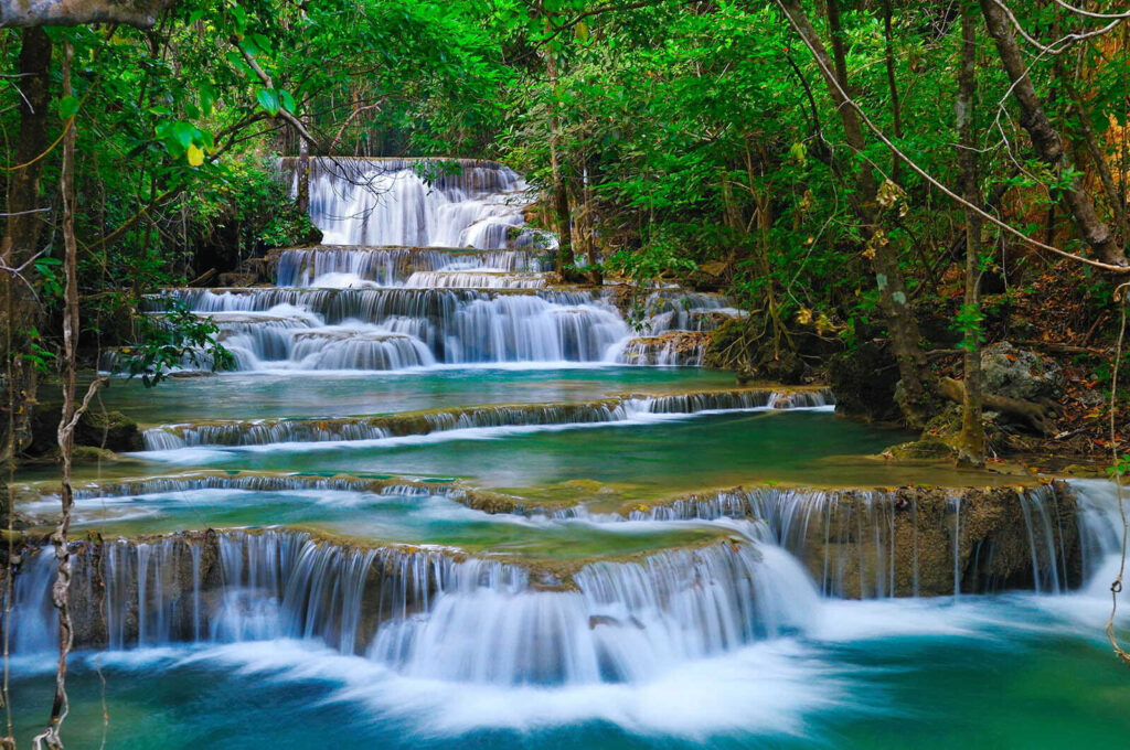 Water over forest steps — full design