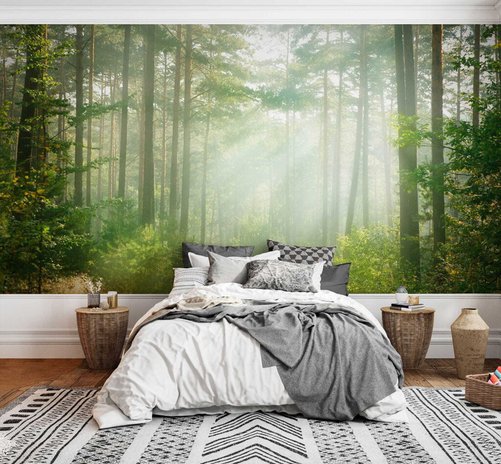 Light through tall trunks — interior 2