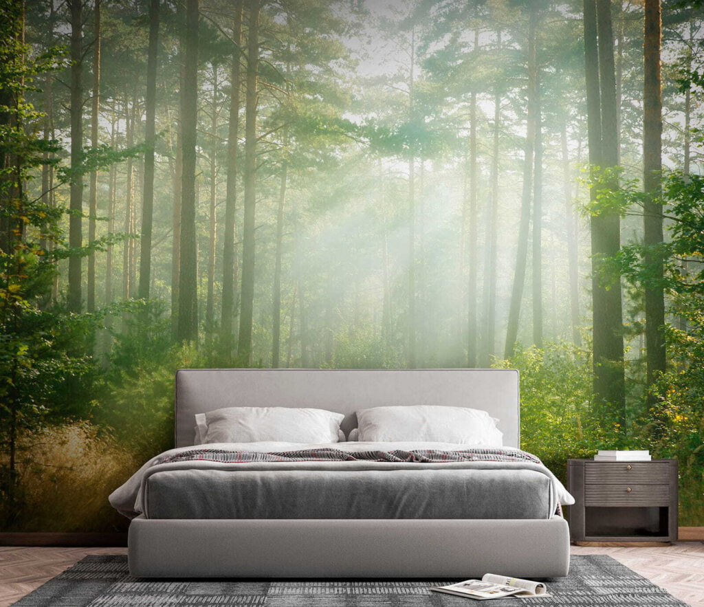 Light through tall trunks — interior 5