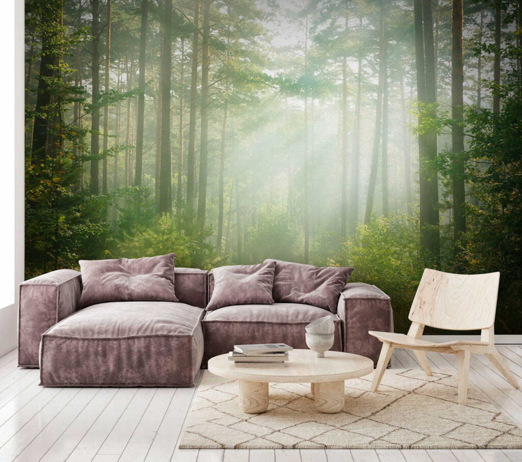 Light through tall trunks — interior 6
