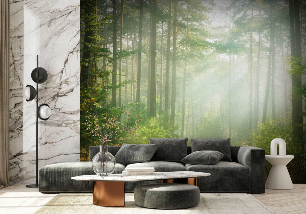Light through tall trunks — interior 7