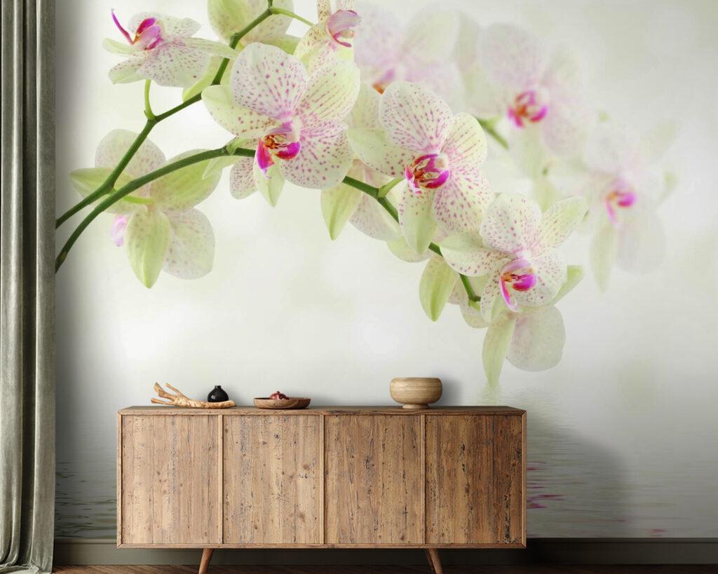 Pale orchid over water — interior 2