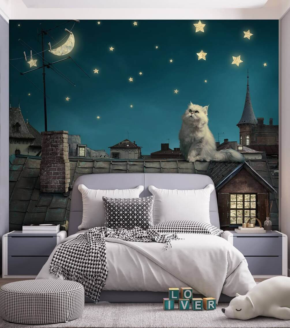 Rooftop Cat at Night in an interior
