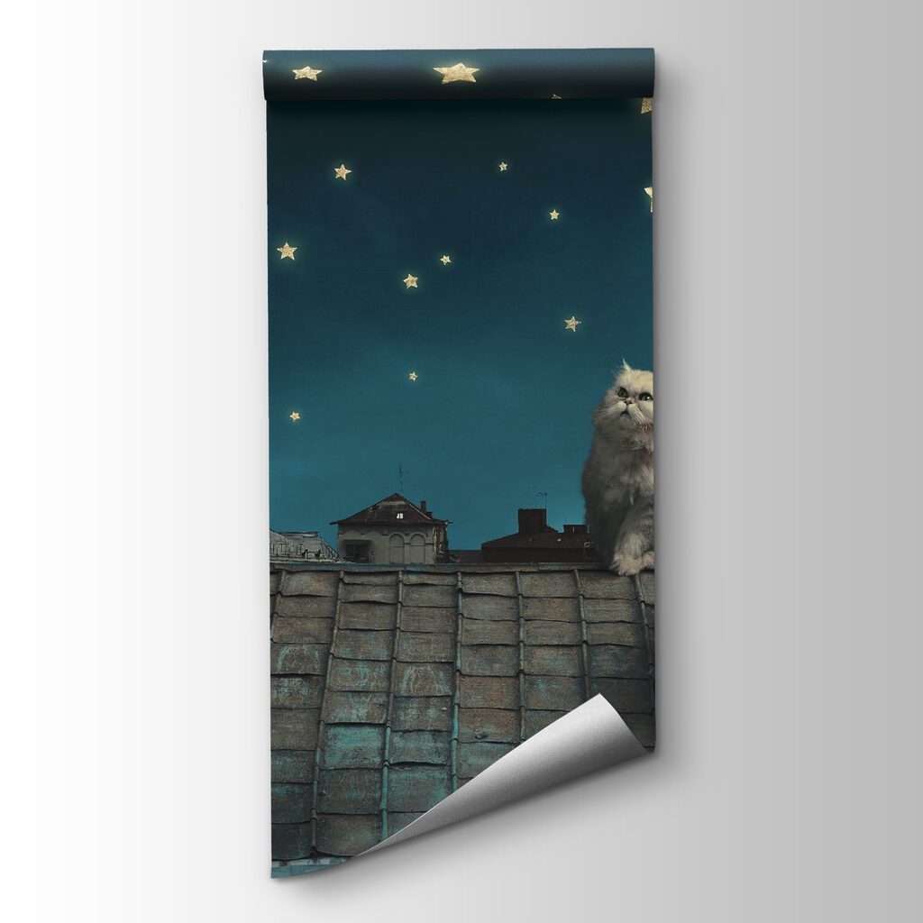 Rooftop Cat at Night — product view
