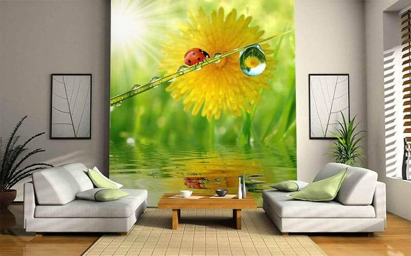 Ladybird by a dewdrop — interior 2