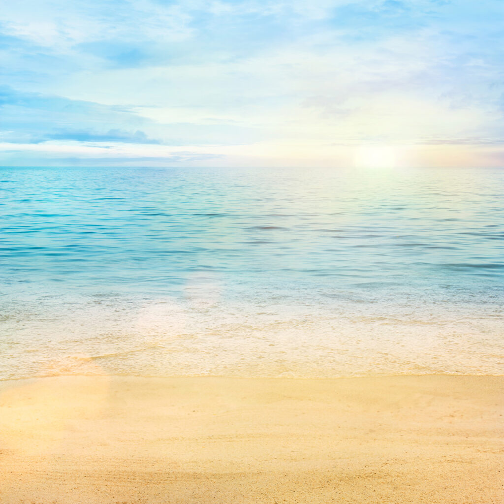 Beach in soft light — full design