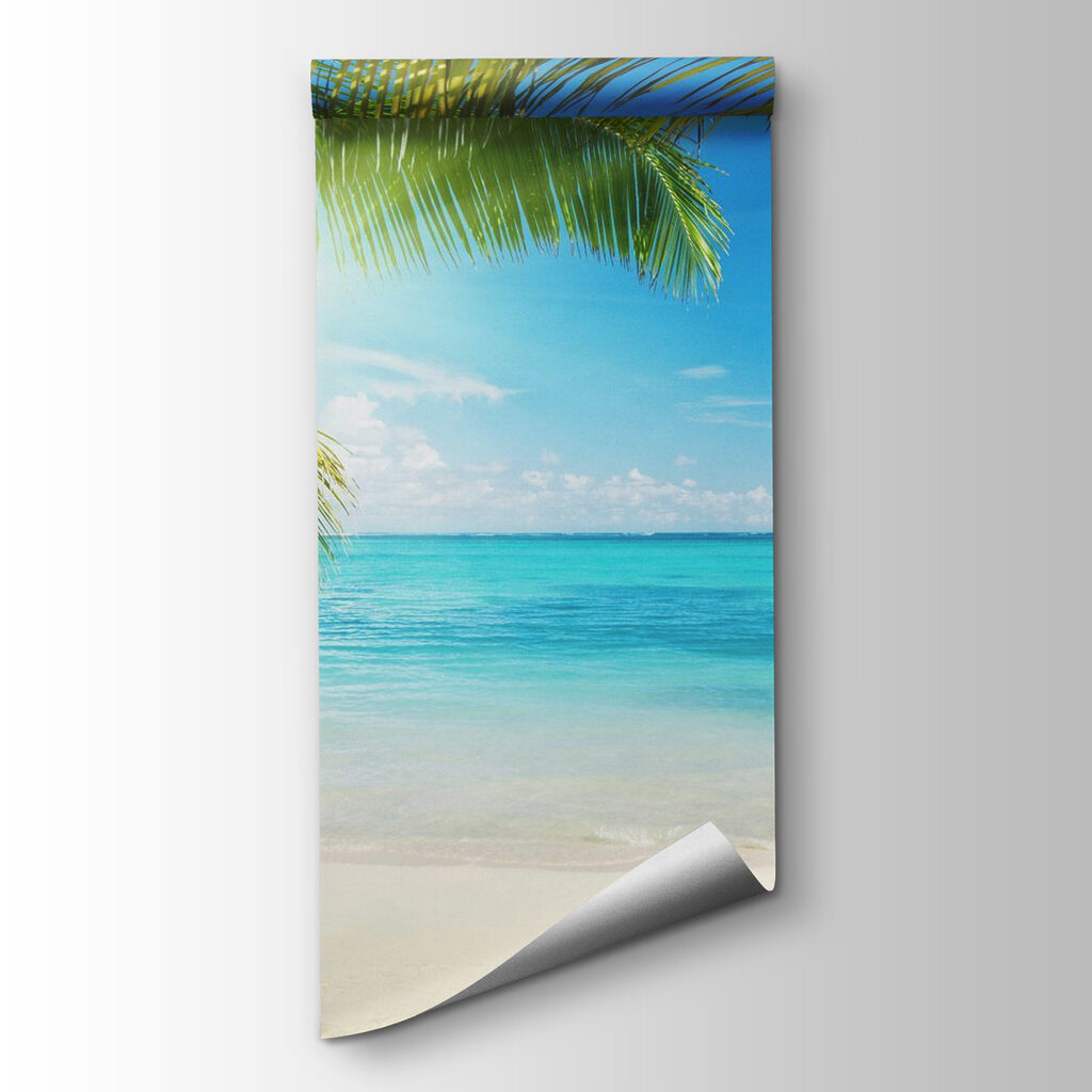 Palm shadow on beach — product view