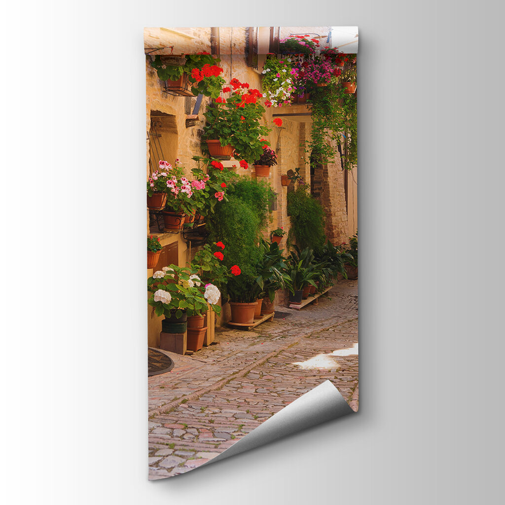 Narrow street of flowers — product view