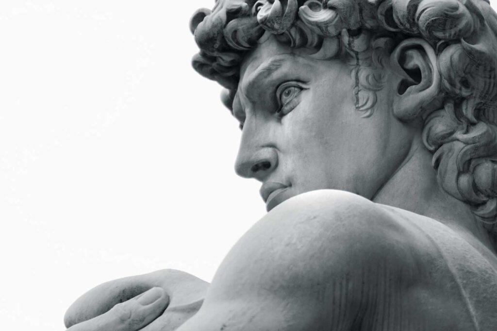 David in Profile — full design