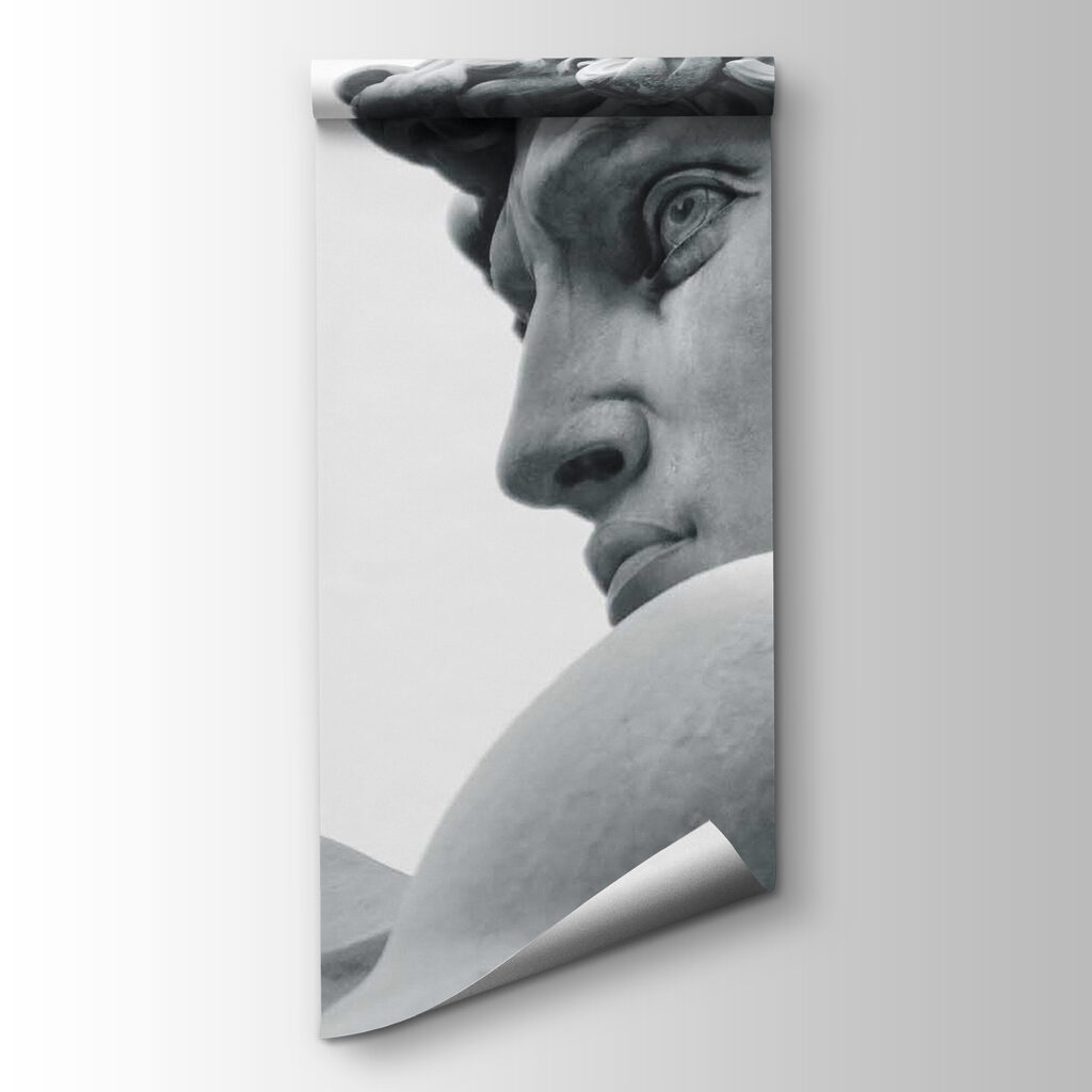 David in Profile — product view