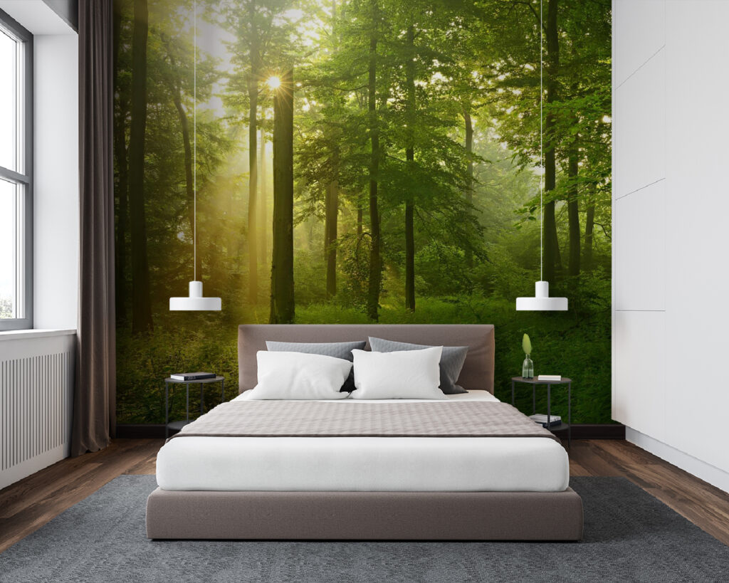 Golden forest light — interior 1