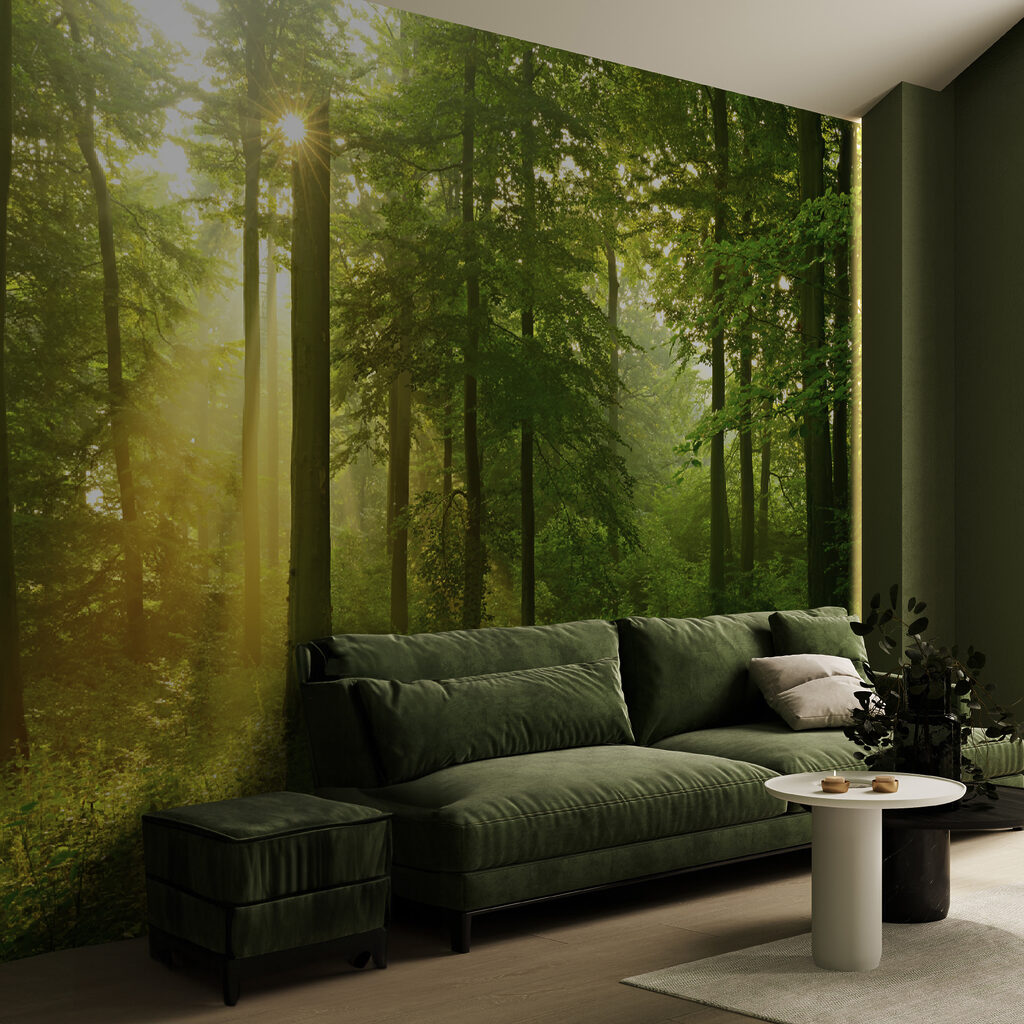 Golden forest light — interior 5