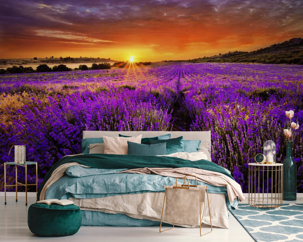 Lavender under orange sun — interior 2