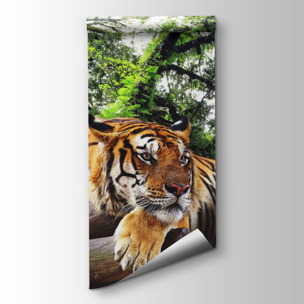 Tiger on a branch — product view