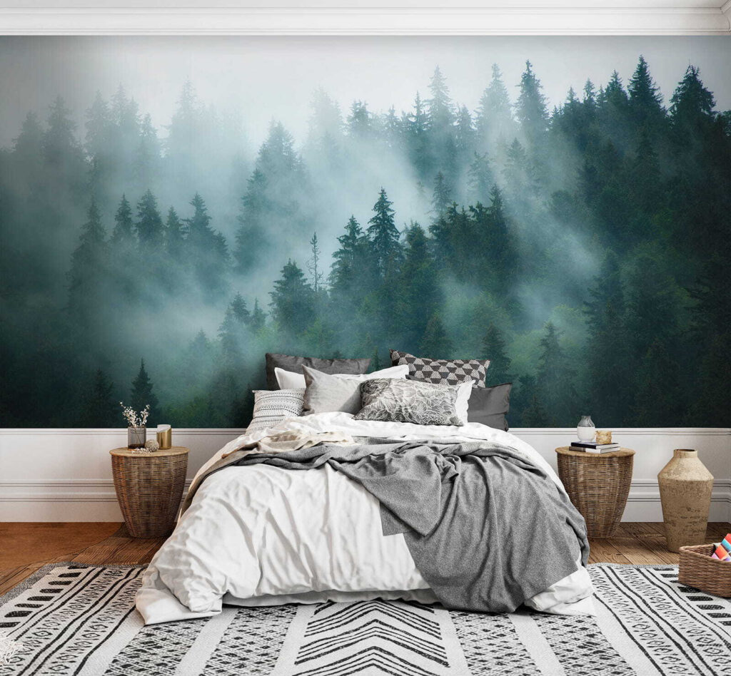 Forest in the Clouds — interior 4
