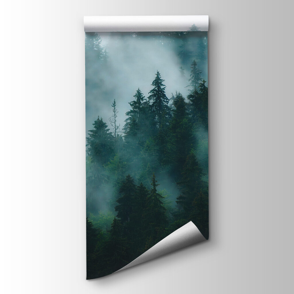 Forest in the Clouds — product view