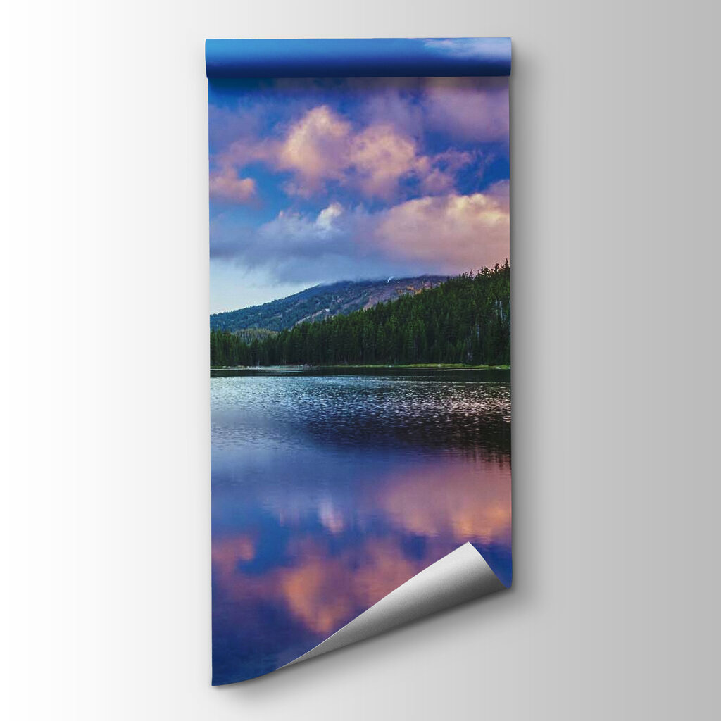 Forest reflected in lake — product view