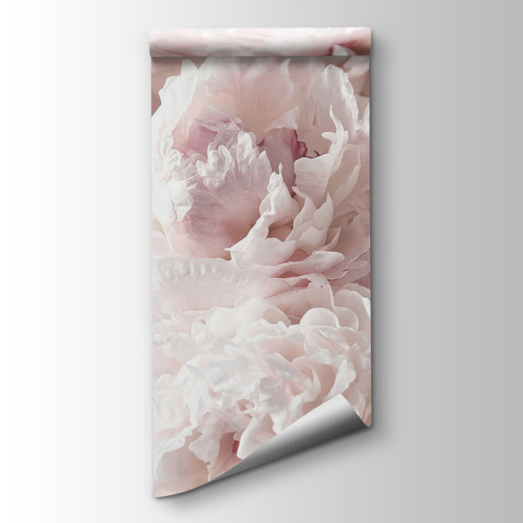 Light pink peonies — product view