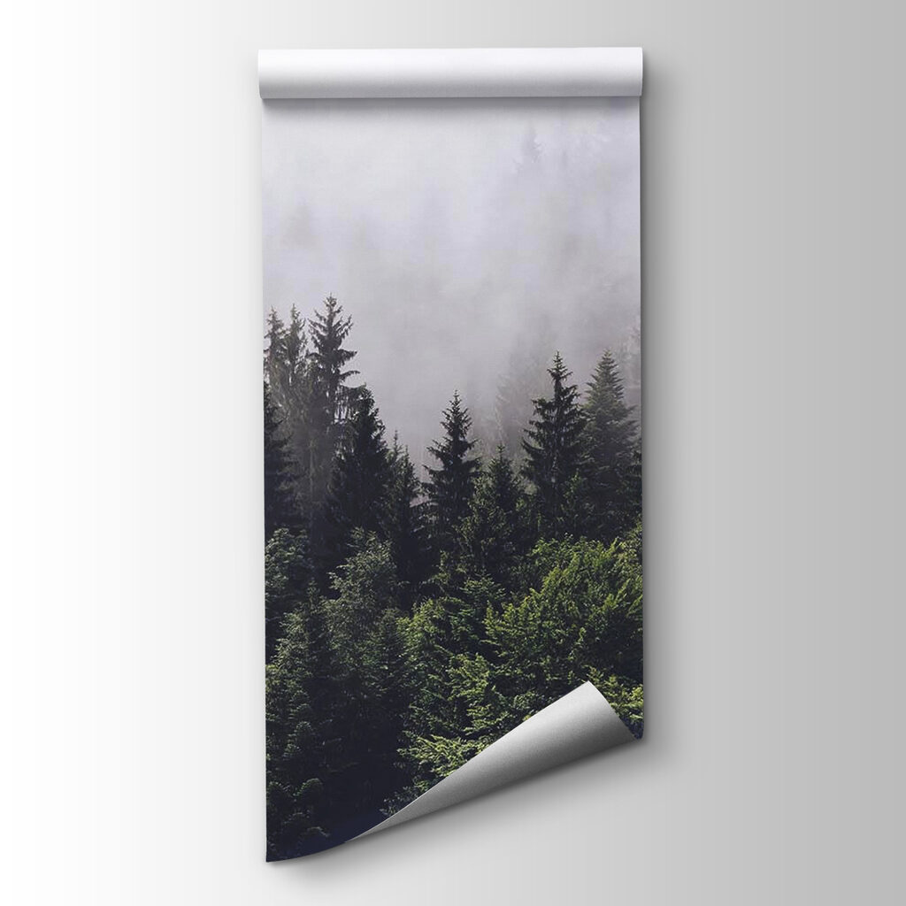 Forest Horizon — product view
