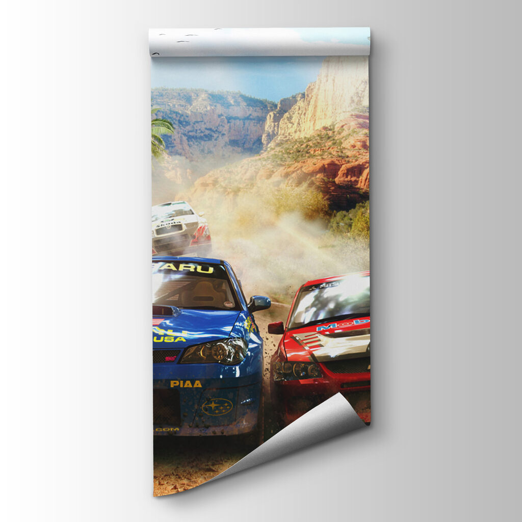 Rally cars racing — product view