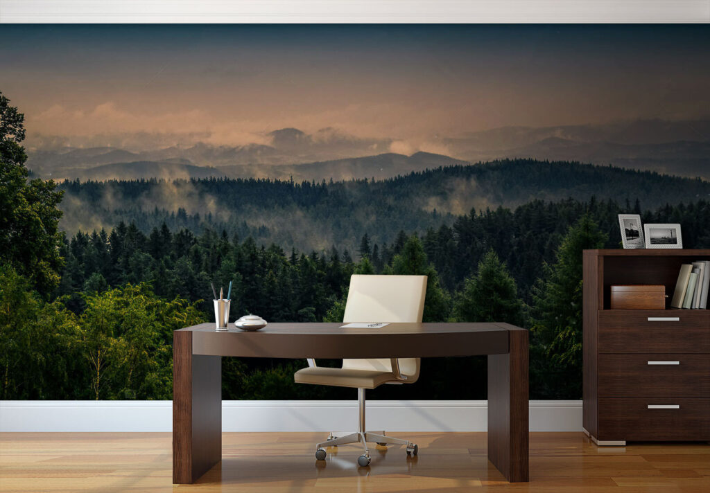 Forest Before Sunrise — interior 3