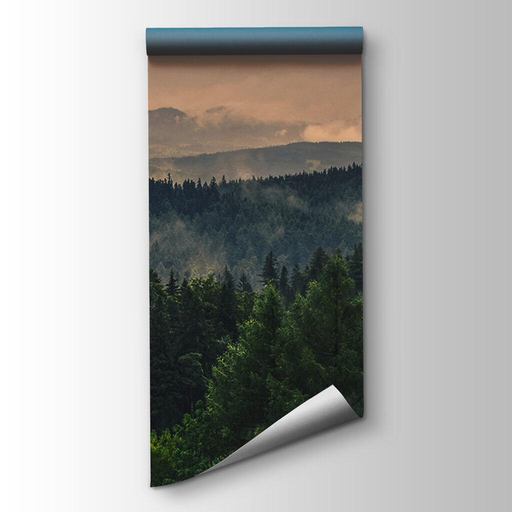 Forest Before Sunrise — product view