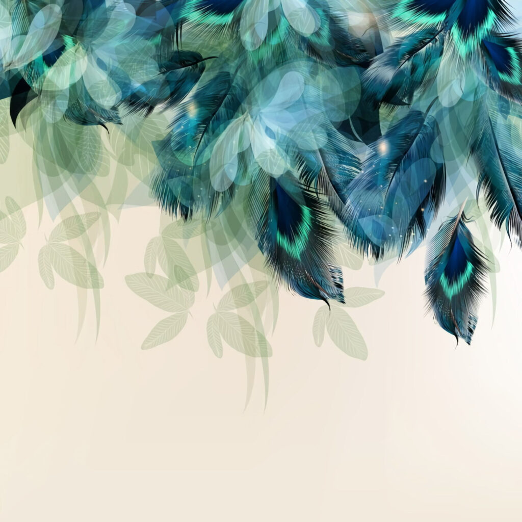 Feather Canopy — full design