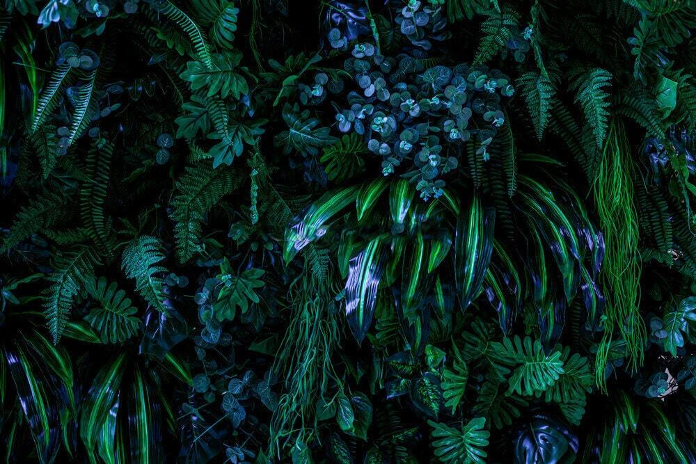 Blue flowers in jungle — full design