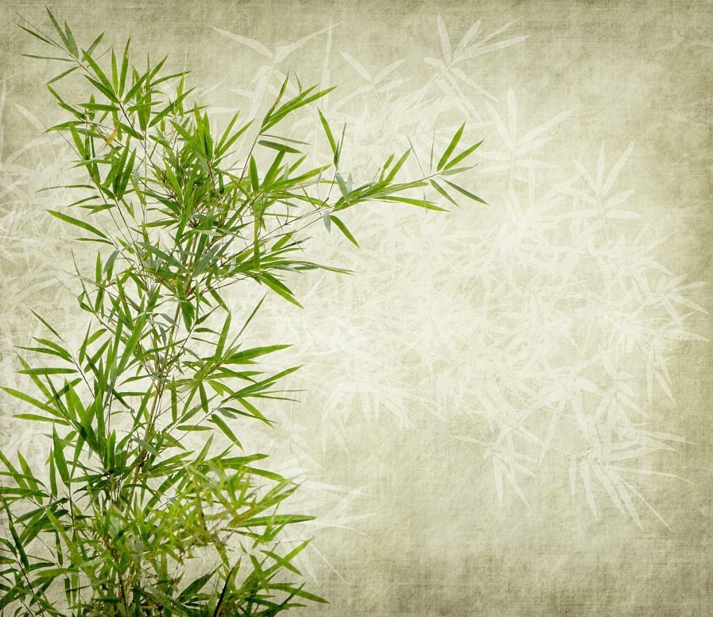Bamboo Garden — full design