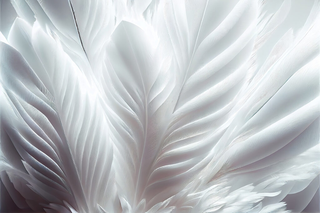 White feathers close-up — full design