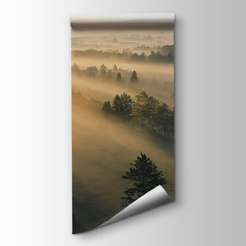First Light Valley — product view