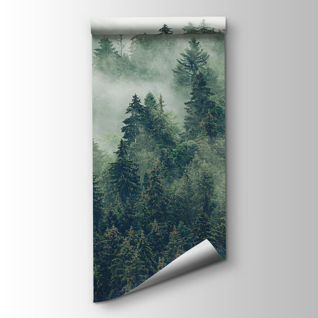 Pines in white mist — product view