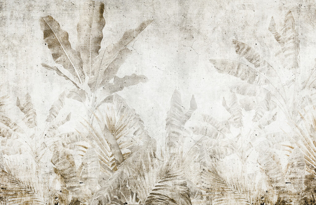 Ferns on weathered ground — full design