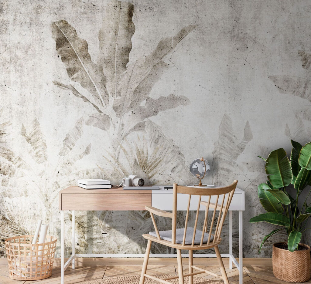 Ferns on weathered ground — interior 1