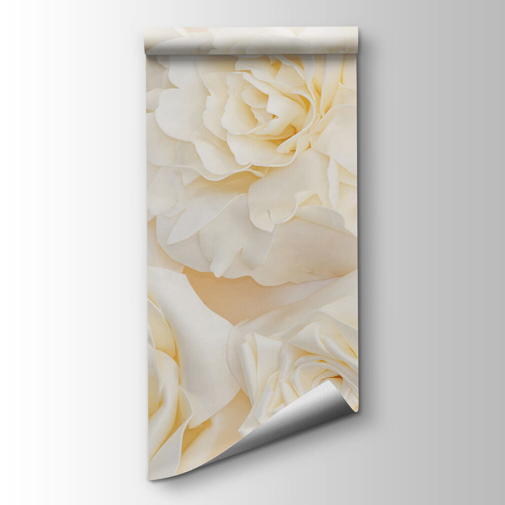 Cream-white roses up close — product view