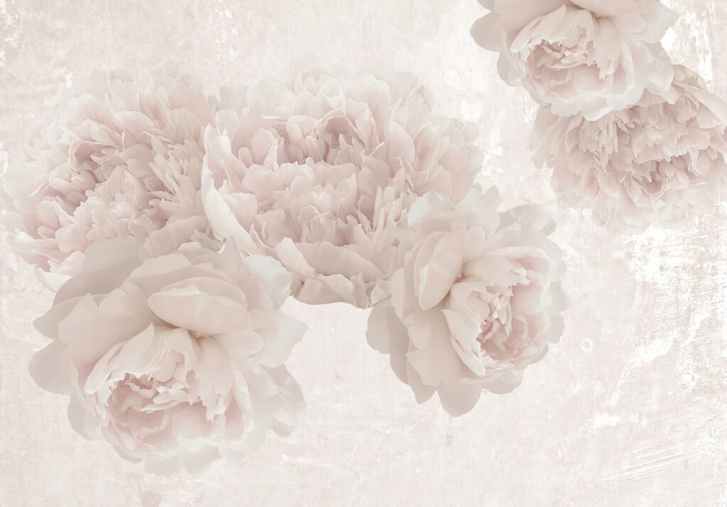 Faded Peonies — full design