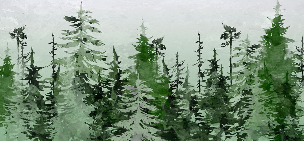 Drawn conifers in green — full design