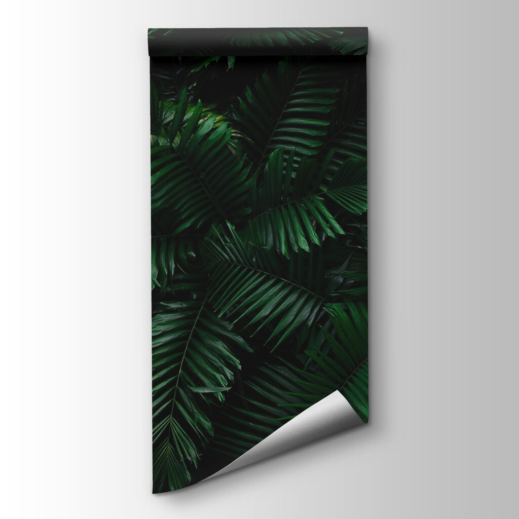 Ferns against night black — product view