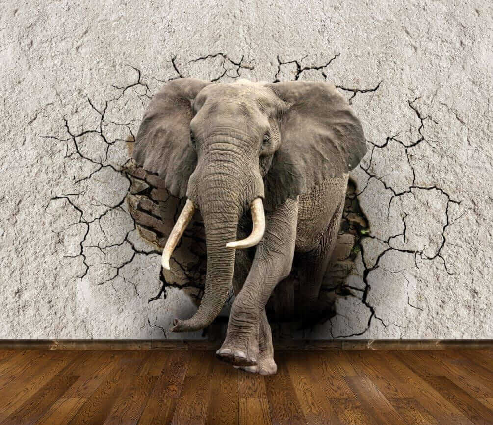Elephant through cracked wall — full design