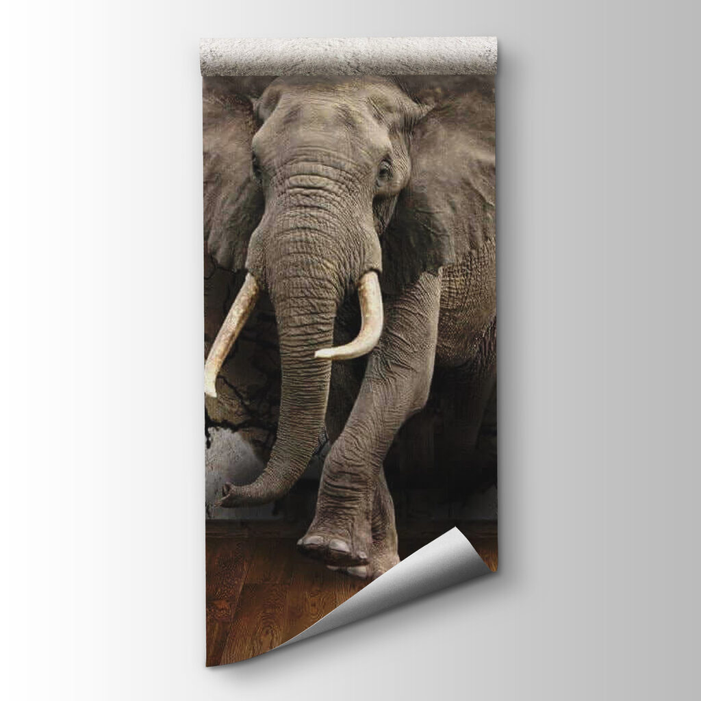 Elephant through cracked wall — product view