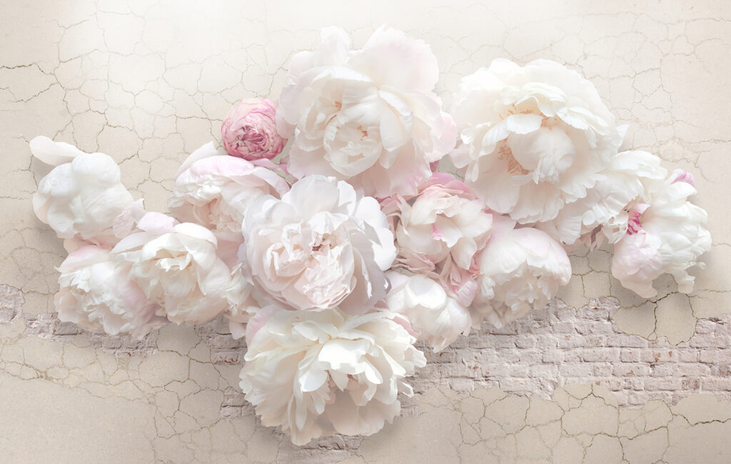 Peonies in Relief — full design