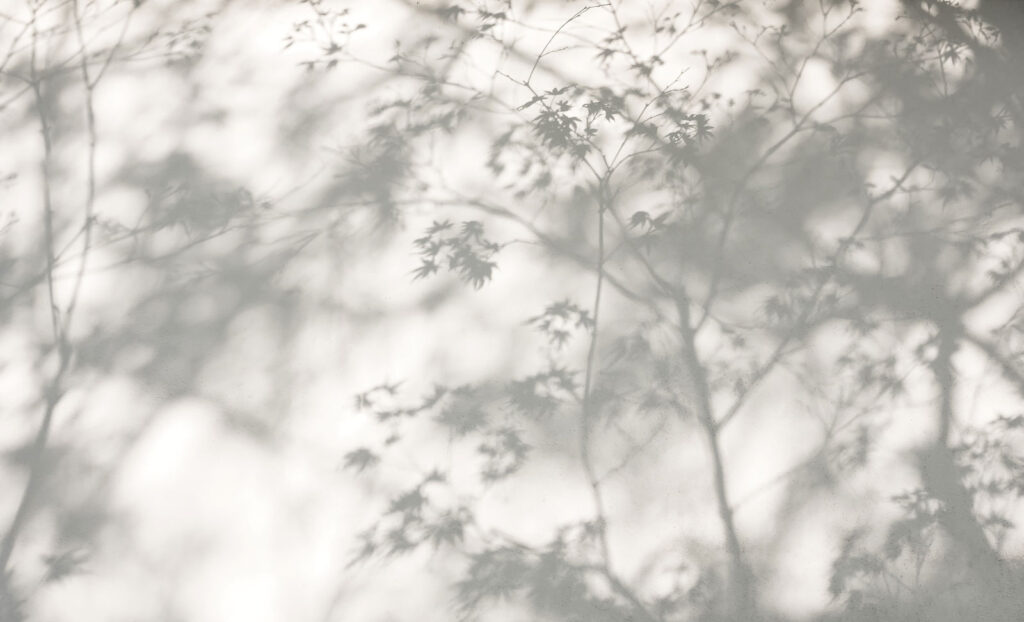 Leaf Shadowplay — full design