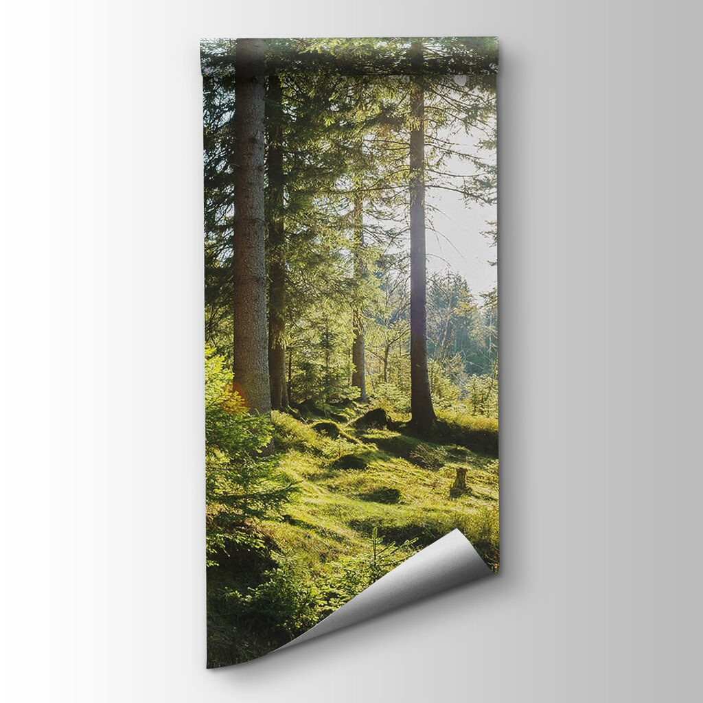 Forest Sunlight — product view