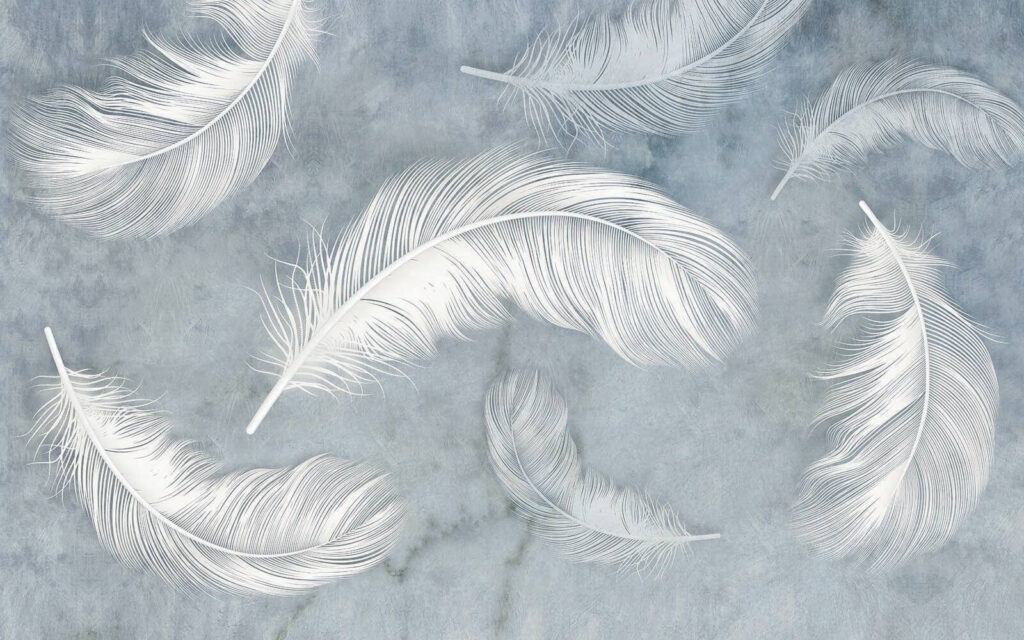 White feathers in mist — full design
