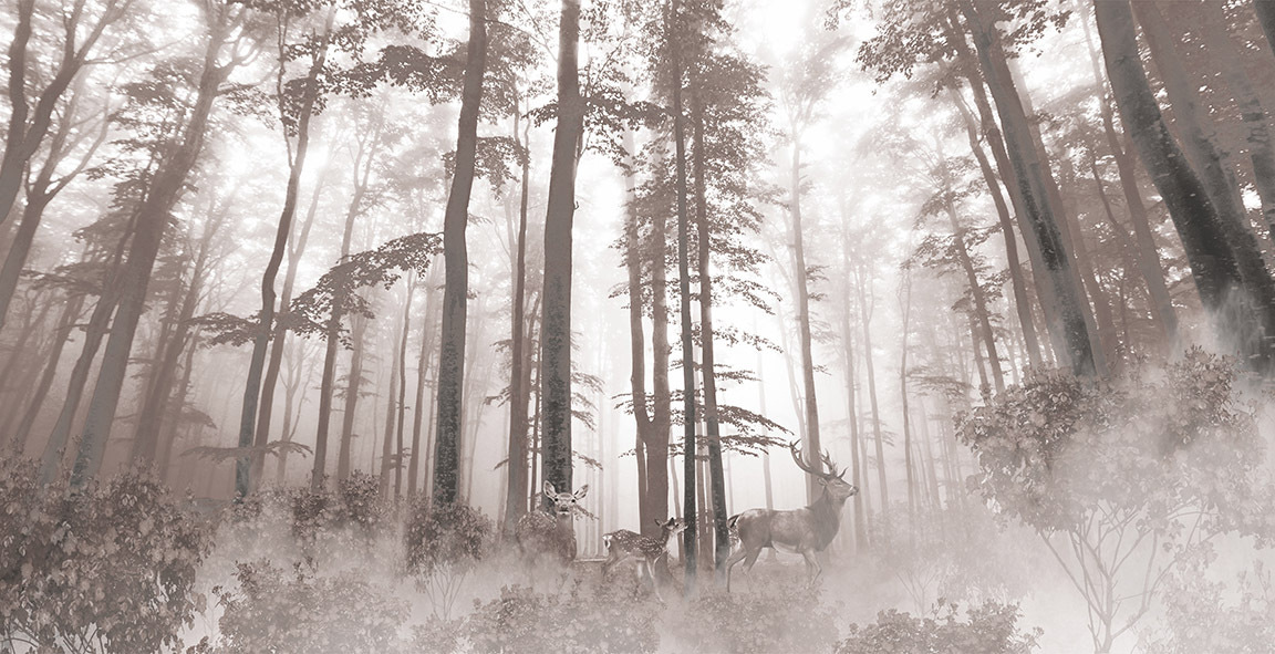 Deer among tall pines — full design