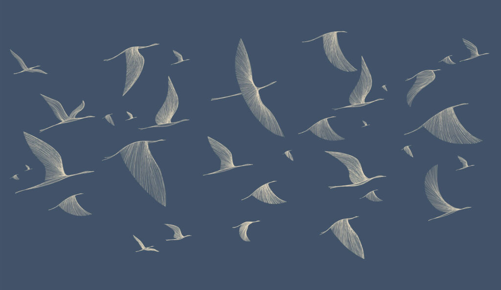 Birds in Flight — full design