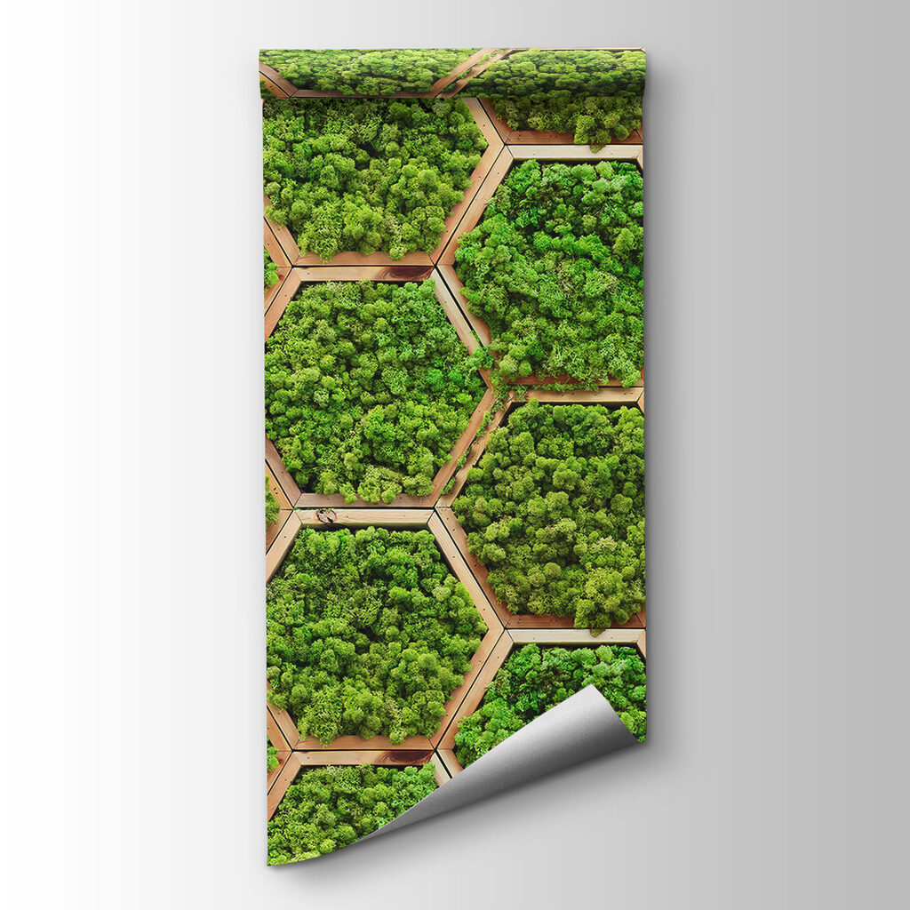 Living Honeycomb — product view
