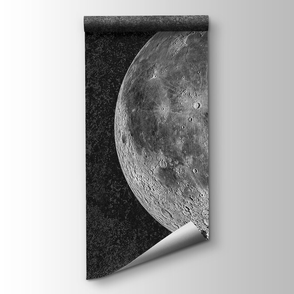 Full moon with craters — product view
