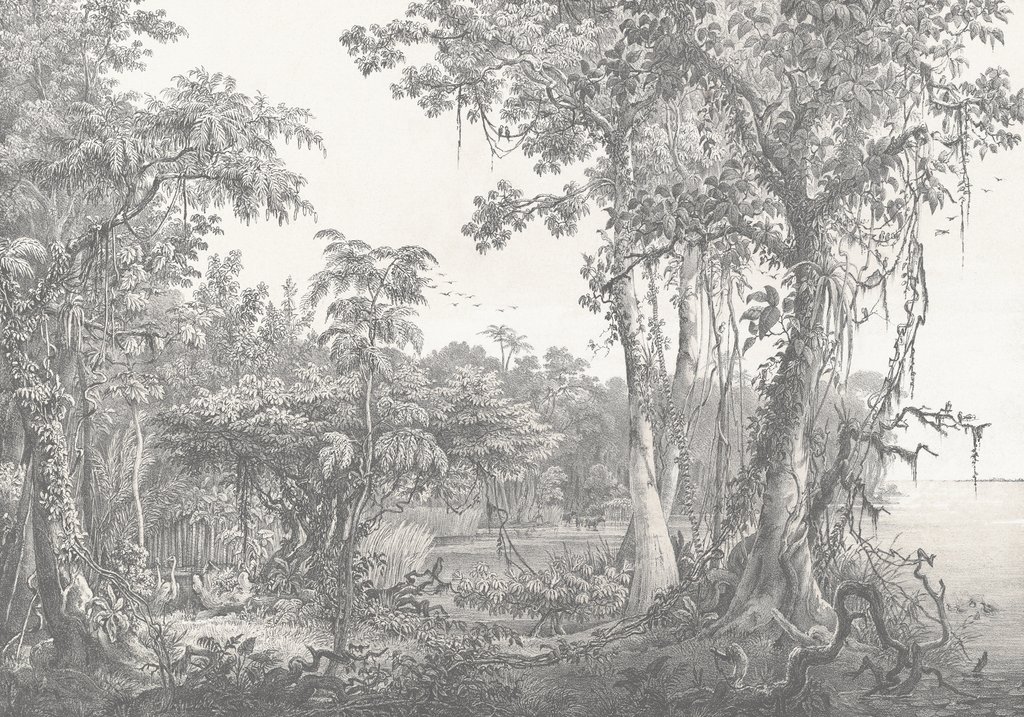 Forest Etching — full design